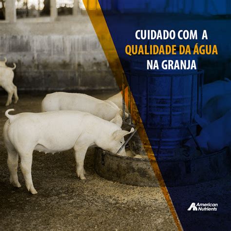 Carne Suína American Nutrients Ciência e Inovação