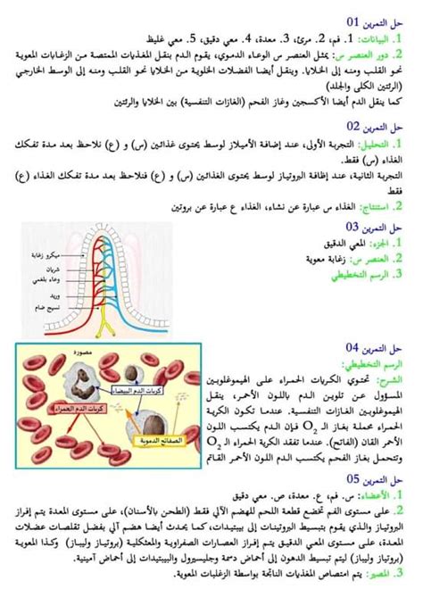 Dz Examen اختبارات الفصل الأول في العلوم الطبيعية السنة الرابعة متوسط