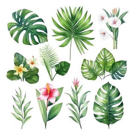 Premium Vector Watercolor Tropical Green Leaves Hibiscus Flowers