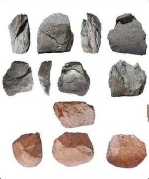 Australopithecus Garhi Tools