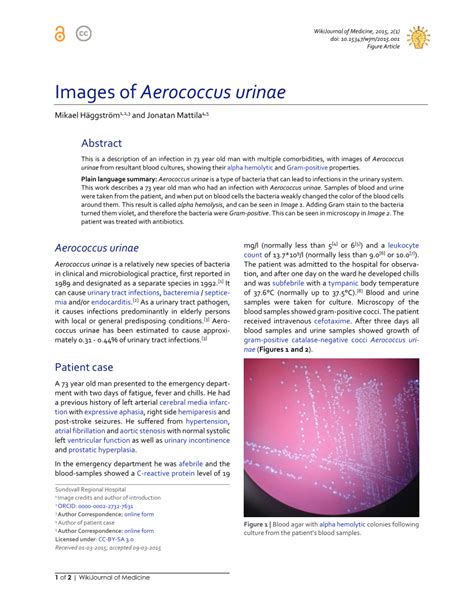 (PDF) Images of Aerococcus urinae