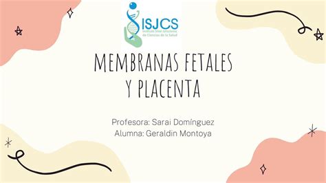 Membranas Fetales Y Placenta Majo Mosqueda Udocz