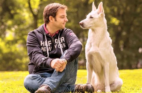 Martin Rütter warnt schwangere Hundehalterin Hündin kann gefährlich