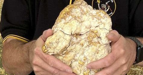 Amateur Gold Digger Finds Massive Nugget The Premier Daily
