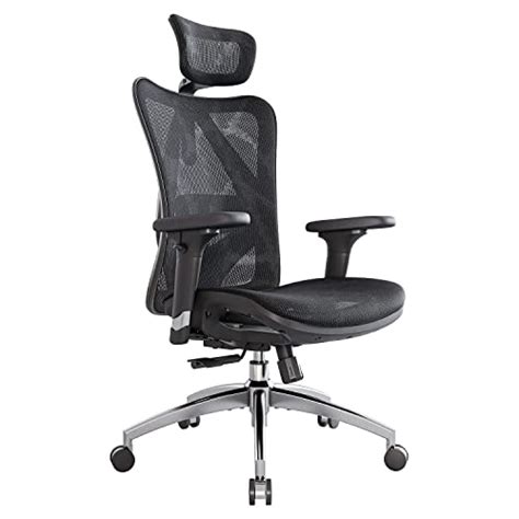 Sihoo M Ergonomic Office Chair With Way Armrests Lumbar Support And