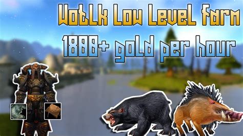 Wotlk Low Level Gold Farm Gold Per Hour Warmane Wow Youtube