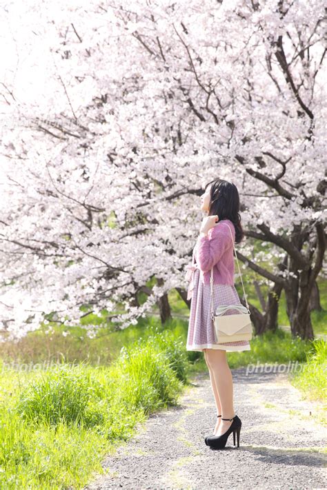 若い女性と桜 写真素材 5869425 フォトライブラリー Photolibrary