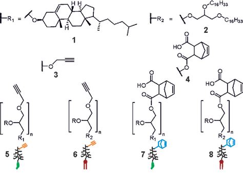 Figure 2 From Orthogonal Click Conjugation To The Liposomal Surface