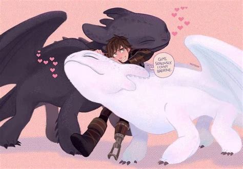 HICCUP TOOTHLESS AND THE LIGHT FURT How Train Your Dragon How To