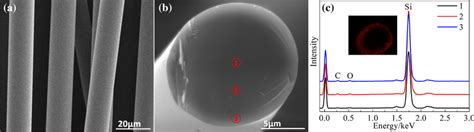 Typical Morphologies And Element Composition Of The Skincore Structure