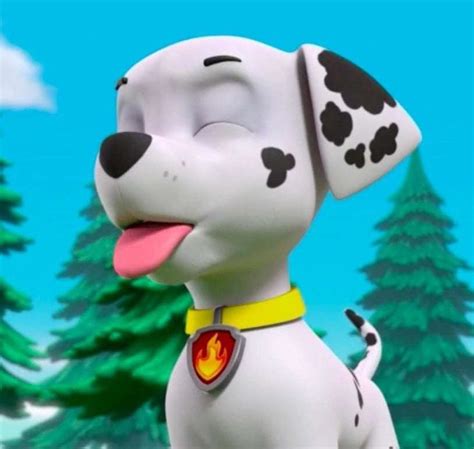 Pin By Brandon Smith On Paw Patrol In 2024 Paw Patrol Cartoon Paw