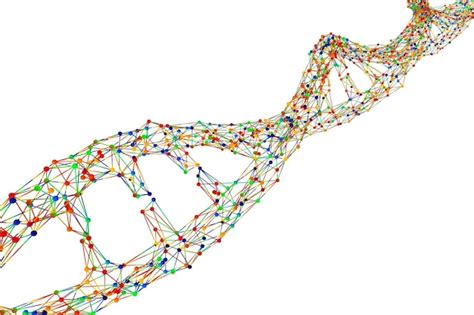 Anima O D Da Estrutura Do Dna Foto Premium