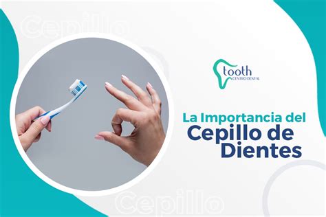 La Importancia Del Cepillo De Dientes Tooth Centro Dental