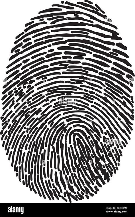 Illustration Vector Hand Draw Doodles Of Black Isolated Fingerprint On