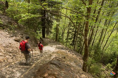 9 Gatlinburg Hiking Trails You Won’t Want To Miss in 2024