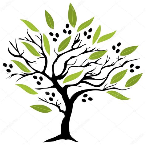 Olive Tree Vector Stock Vector Image By ©lilac Design 97695746