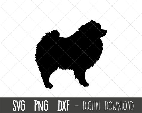 Keeshond Svg Dog Svg Keeshond Silhouette Keeshond Outline Png