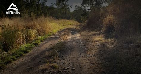 Best Trails in Mount Archer National Park - Queensland, Australia ...