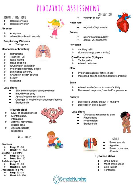 Pediatric Vital Signs Reference Chart Artofit