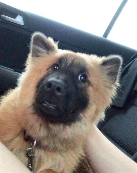 The Fuck Blank Template Imgflip