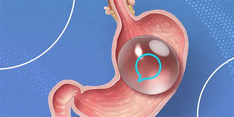 Cl Nica Edt Servi Os De Endoscopia Diagn Stica E Terap Utica