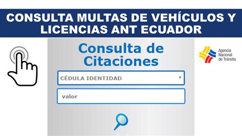 Consulta De Multas Por Placa Y Licencia Ant