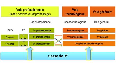 Collège Orientation après la 3ème Institution Sainte Trinité