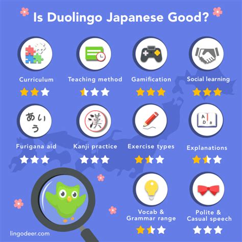 Everything You Need To Know About Duolingo Japanese Lingodeer