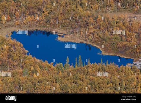 Sarek National Park Stock Photo - Alamy