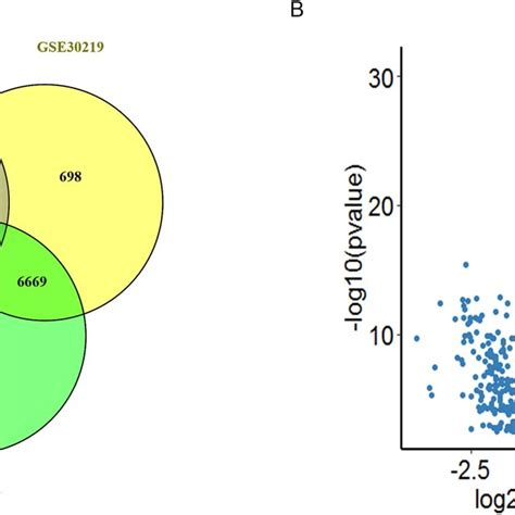 The Identification Of DEGs A The Intersection Of DEGs From The