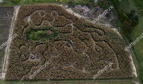 Aerial Photo Made Drone Pathways Corn Editorial Stock Photo - Stock Image | Shutterstock