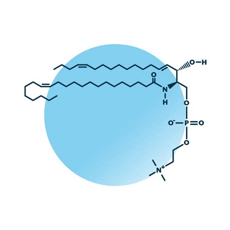 Sphingomyelin Analysis - Lipid Analysis - Lipotype GmbH