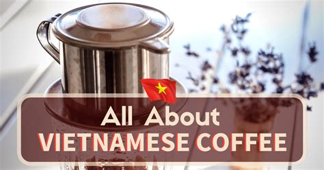 Phin Việt Nam: Discover The Vietnamese Phin Filter For Perfect Coffee