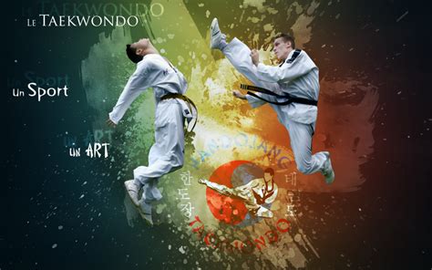 49 Taekwondo Wallpapers WallpaperSafari