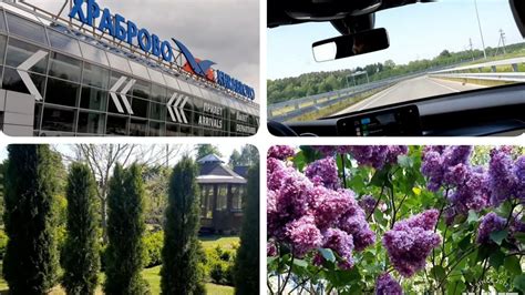 Калининград. Грачёвка. Скворечник. Рай. - YouTube