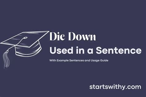 DIE DOWN in a Sentence Examples: 21 Ways to Use Die Down