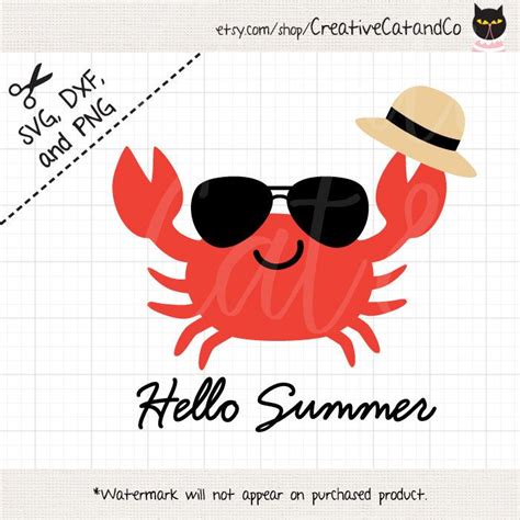 A Crab Wearing Sunglasses And A Hat With The Words Hello Summer