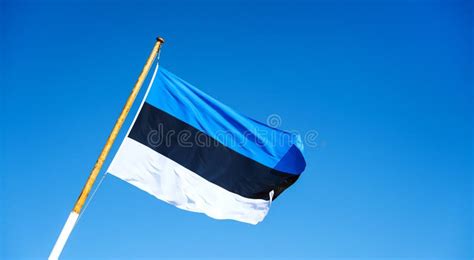 Estonian Flag Against The Blue Sky Blue Black White Estonia Flag