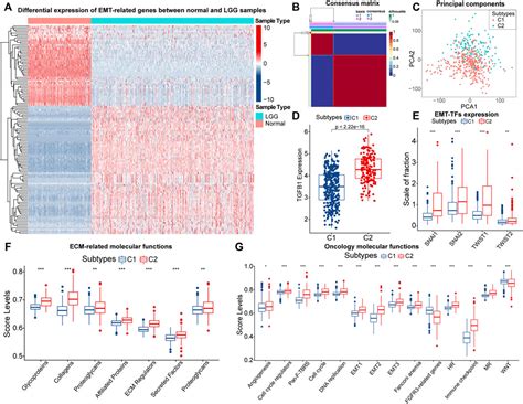 Frontiers Identification Of Emt Related Genes And Prognostic