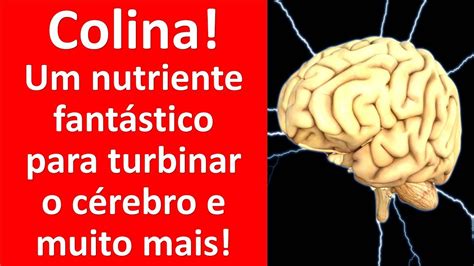 Colina um nutriente fantástico para turbinar o cérebro e muito mais