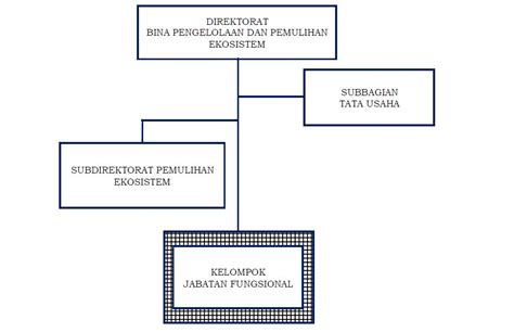 Struktur Organisasi Klhk 2021 Calendar Imagesee