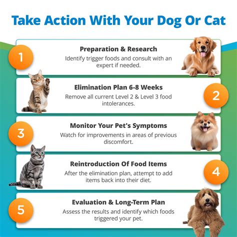 Pet Food Intolerance Test - For All Breeds & Ages | 5Strands