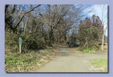 鎌倉街道 上道跡 －毛呂山町 1－（埼玉県毛呂山町） 四季・めぐりめぐりて