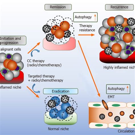 Autophagy In Cancer Stem Cells Autophagy Has A Context Dependent Role