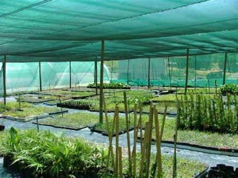 Agricultural Shade Cloth for Greenhouse and Tree Protection