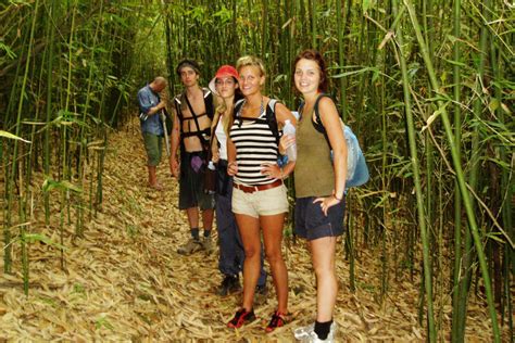 Days Trek Gibbon Trail In Vieng Phoukha Phou Iu Travel Ecotourism