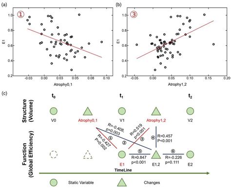 The Correlation Between Brain Structure And Function During Aging A