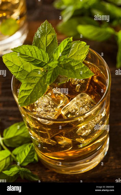 Homemade Gourmet Fresh Mint Julep Alcoholic Cocktail Stock Photo Alamy