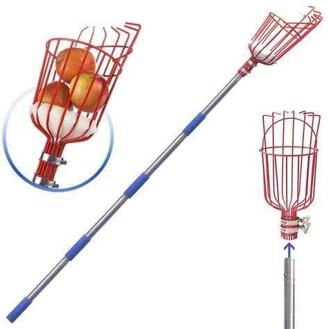 Buy DIIG Fruit Picker 8 Foot Fruit Picker Tool With Stainless Steel