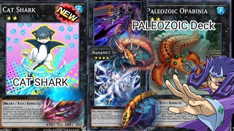 PALEOZOIC Deck With CAT SHARK Yu Gi Oh Duel Links YouTube